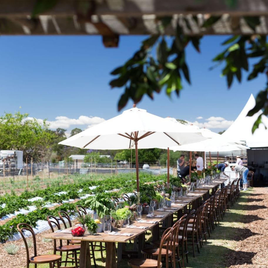 Photo of Lunch in the Fields event, Sydney. Styling + Flowers + Hire by Form over Function